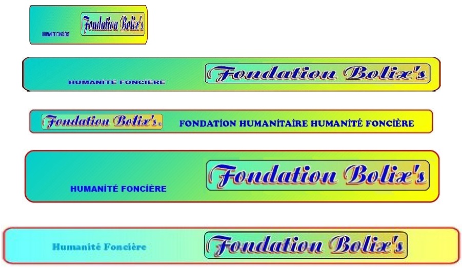 Fondation Bolix's.org Livre de bord