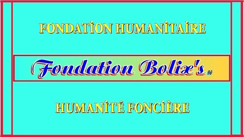 Fondation Bolix's.org Livre de bord 2014 2015